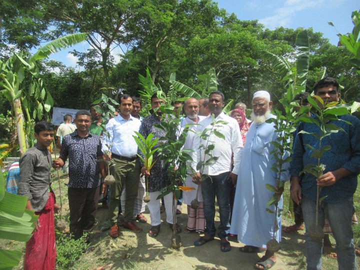 মনপুরায় ১ কিলোমিটার রাস্তায় বৃক্ষ রোপন কর্মসূচী উদ্বোধন