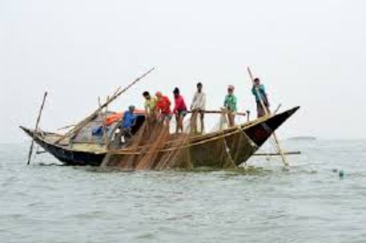 ভোলায় ইলিশের প্রজনন মৌসুমে ৮৮ হাজার ১’শ ১১ জেলে ২০ কেজি করে চাল পাবে