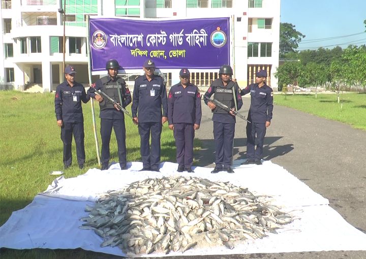 ভোলায় যাত্রীবাহী লঞ্চ থেকে ৩০ মন জাটকা ইলিশ জব্দ