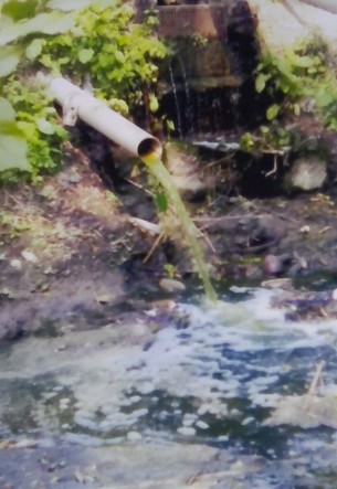 ভোলার ধনিয়ায় খালের পানিতে মুরগী খামারের বর্জ্য   হুমকীর মুখে কৃষি ও মৎস্য চাষ