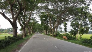 ভোলার ভেদুরিয়া ফেরিঘাট থেকে ইলিশা পর্যন্ত  মহাসড়কটি ৩২ ফুট প্রসস্থ হচ্ছে