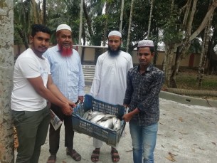 মনপুরায়  মজুদকৃত ২ মণ ইলিশ জব্দ ৫ হাজার টাকা জরিমানা