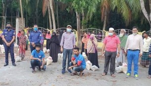 মনপুরায় বৃষ্টি উপেক্ষা করে ৬০পরিবারে ত্রান পৌঁছিয়ে দিলেন ইউএনও