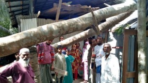 ভোলার দক্ষিণ দিঘলদীতে কাল বৈশাখী ঝড়ে লন্ডভন্ড, ক্ষতির পরিমাণ প্রায় অর্ধকোটি টাকা