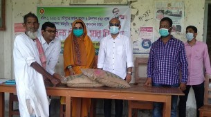 মনপুরায় ২৬০ প্রান্তিক কৃষককে দেওয়া হলো কৃষি প্রণোদনা