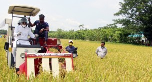 শেখ হাসিনার সরকার কৃষি বান্ধব: এমপি শাওন