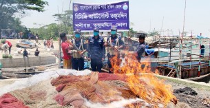 তজুমদ্দিনে কোষ্টগার্ডের অভিযানে বেহুন্দি জাল আটক