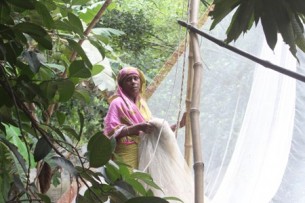 ভোলার দক্ষিণ চরপাতা গ্রামের বৃদ্ধ ফাতেমার মানবেতর জীবনযাপন