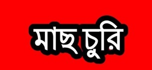 দৌলতখানে ঝুড়ি বোঝাই  ইলিশ চুরি