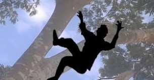 দৌলতখানে গাছ থেকে পড়ে বৃদ্ধের মৃত্যু