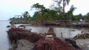 ভাঙ্গনের মুখে ক্রমেই মানচিত্র থেকে মুছে যাচ্ছে ঢালচর
