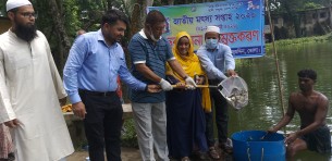 তজুমদ্দিনে মৎস্য সপ্তাহে মাছের পোন অবমুক্ত ও উপকরণ বিতরণ