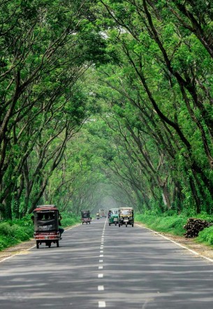 ভোলায় তামাক বিরোধী আইন বিষয়ক কর্মশালা