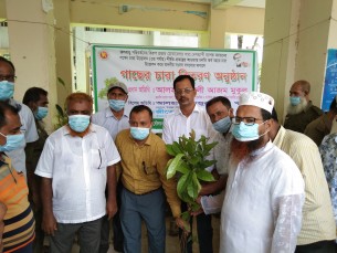 দৌলতখানে ১৫৫ শিক্ষা  প্রতিষ্ঠানে চারা বিতরণ