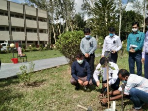 ভোলায় বিশ্ব সাহিত্য কেন্দ্রের বৃক্ষরোপণ কর্মসূচির উদ্বোধন