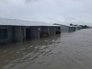 তজুমদ্দিনে জোয়ারে কাঁচা ঘরবাড়ি ও আশ্রায়ন প্রকল্প ক্ষতিগ্রস্ত