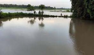 ভোলায় অতি জোয়ারের পানিতে ভেসে গেছে ১১৭৩  মেট্রিক টন মাছ