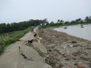 মনপুরায় জোয়ারের তোড়ে পাকা  সড়ক ও বেড়ী বাঁধ বিলীন