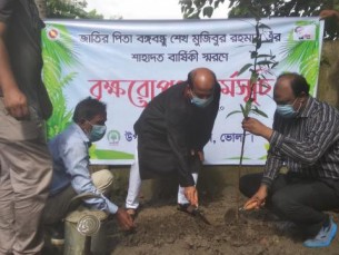 বঙ্গবন্ধুর শাহাদাত বার্ষিকীতে ভোলায় বনবিভাগের বৃক্ষরোপণ কর্মসূচির উদ্বোধন