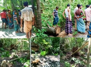 চরফ্যাশনে ৪৫ বছরের বসতবাড়ি দখলের চেষ্টা