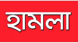 বোরহানউদ্দিনে এ্যাডভোকেট  শিমুলের উপর হামলা