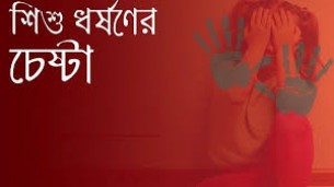 তজুমদ্দিনে সাত বছরের শিশুকে  ধর্ষণ চেষ্টার অভিযোগে মামলা