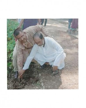 চরফ্যাশনে বজ্রপাত থেকে রক্ষা  পেতে তালবীজ রোপন