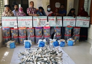 ভোলায় ৫০জন অতিদরিদ্র পরিবারের মাঝে বিনামূল্যে ইলিশ মাছ ও উপকরণ বিতরণ