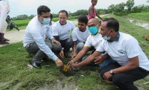 বজ্রপাত থেকে প্রাণ রক্ষায় ভোলার উপকূলে সাড়ে ৫ হাজার তালের বীজ বপন