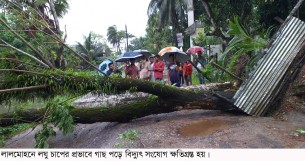 ভোলায় বৃষ্টি ঝড়ো বাতাসে জনজীবন বিপর্যস্ত