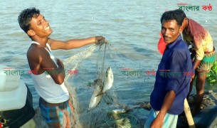নিষেধাজ্ঞার আগে ভোলায় মাছঘাটে ইলিশ বেচা-কেনার ধুম