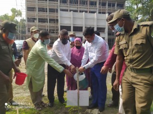 তজুমদ্দিনে  বৃক্ষ রোপন করলেন বিভাগীয় কমিশনার