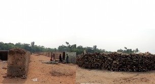 চরফ্যাশনে অনুমোদন বিহীন  ইট ভাটার ছড়াছড়ি