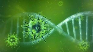 ভোলায় ৮'শ ছাড়ালো করোনা আক্রান্তের সংখ্যা