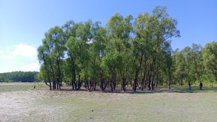 মূল ভূখন্ড ভোলার সাথে যুক্ত হচ্ছে বিচ্ছিন্ন কুকরি মুকরি