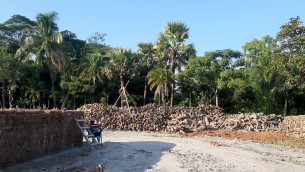 চরফ্যাশনে গড়ে উঠছে অবৈধ ইট ভাটা :চলছে ইট পোড়ানোর প্রস্তুতি