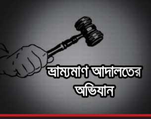 দৌলতখানে স-মিলে ভ্রাম্যমাণ আদালতের অভিযান