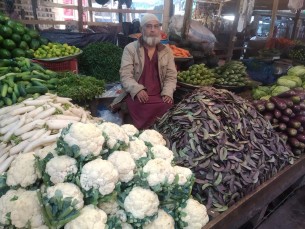 ভোলায় বেড়েছে শীতকালীন সবজির সরবরাহ