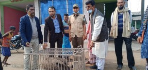 বোরহানউদ্দিনে বিরল প্রজাতির শকুন অবমুক্ত