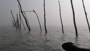 চরফ্যাশনে নিষিদ্ধ চরঘেরা জালে হুমকিতে নদী ও চরাঞ্চলের জীববৈচিত্র