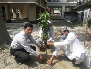 বোরহানউদ্দিনে ভূমি অফিসের উদ্যোগে বৃক্ষ রোপণ