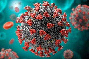 ভোলায় করোনায় আক্রান্ত হয়ে  নারীসহ ৩ জনের মৃত্যু