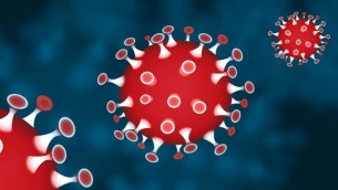 ভোলায় আরো ১৬ জন করোনায় আক্রান্ত