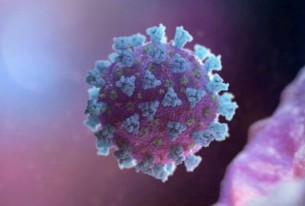 ভোলায় আরো ৮ জন করোনায় আক্রান্ত