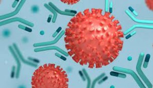 ভোলায় আরো ৩ জনের করোনা শনাক্ত