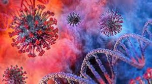 ভোলায় আরো ১৫ জনের করোনা শনাক্ত