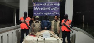 চরফ্যাশনে জবাইকৃত হরিণ উদ্ধার