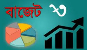 ভোলার ৩ ইউনিয়ন পরিষদে  উন্মক্ত বাজেট ঘোষনা