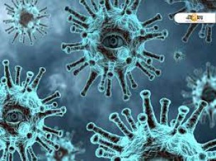 ভোলায় আরো ২ জনের করোনা শনাক্ত