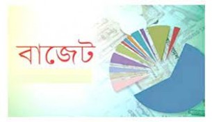 তজুমদ্দিনের চাঁদপুর  ইউনিয়নে উম্মুক্ত বাজেট ঘোষনা